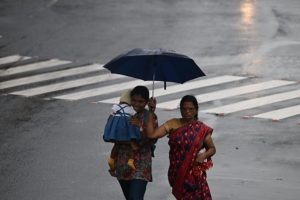 பறவைக் காய்ச்சல்: ஆஸ்திரேலியாவில் செத்து மடியும் கடற்பறவைகள்