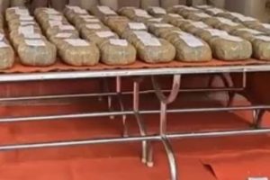 காசா அமைதி திட்டம் – ஏற்க மறுக்கும் இஸ்ரேல் : அழுத்தம் கொடுக்கும் ஹமாஸ்