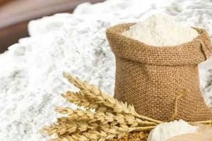 எரிவாயு  சேமிப்பில் பின்தங்கியுள்ள ஐரோப்பிய நாடுகள் – குளிர்காலத்தில் ஏற்படும் பாதிப்பு