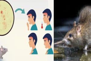 ‘மாகாணசபைத் தேர்தல்’ – இந்தியாவின் அழுத்தம் தொடரும்