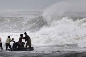 தலைநகர் கொழும்பு வீதிகளை அலங்கரிக்கவுள்ள மெட்ரோ பஸ்கள்