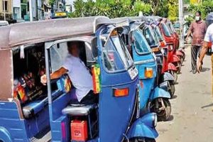 பொதுத் தேர்தல் உக்ரைனை அழித்து விடும் – ஜெலென்ஸ்கி