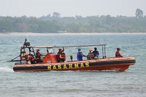 ஹோர்முஸ் நீரிணையில் சரக்கு கப்பல் ஒன்றின் மீது தாக்குதல்