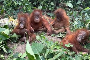 இலங்கை – இந்தியா இடையே 3 பாதுகாப்பு ஒப்பந்தங்கள் கைச்சாத்து