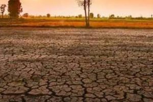 ஆஸ்திரேலியாவில் புதிய சமூக ஊடக சட்டம்: பயனர்களுக்கு முழு கட்டுப்பாடு