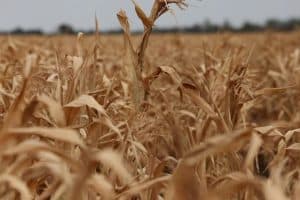 Reform UK கட்சிக்கு நெருக்கடி: முக்கிய இரு பிரமுகர்கள் ராஜினாமா