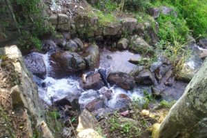 இந்தோனேசியாவை உலுக்கிய காட்டுத் தீ: ஒரே மாதத்தில் 3,560 பேர் பலி