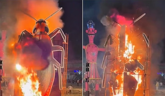விஜயதசமியை முன்னிட்டு, வழக்கமான ராவணன், கும்பகர்ணன் மற்றும் மேகநாதன் உருவப் பொம்மைகளுடன் சேர்த்து டெல்லி பிதம்பராவில் 30 அடி உயர கரப்பான் பூச்சி உருவபொம்மையும் நேற்று எரிக்கப்பட்டது.